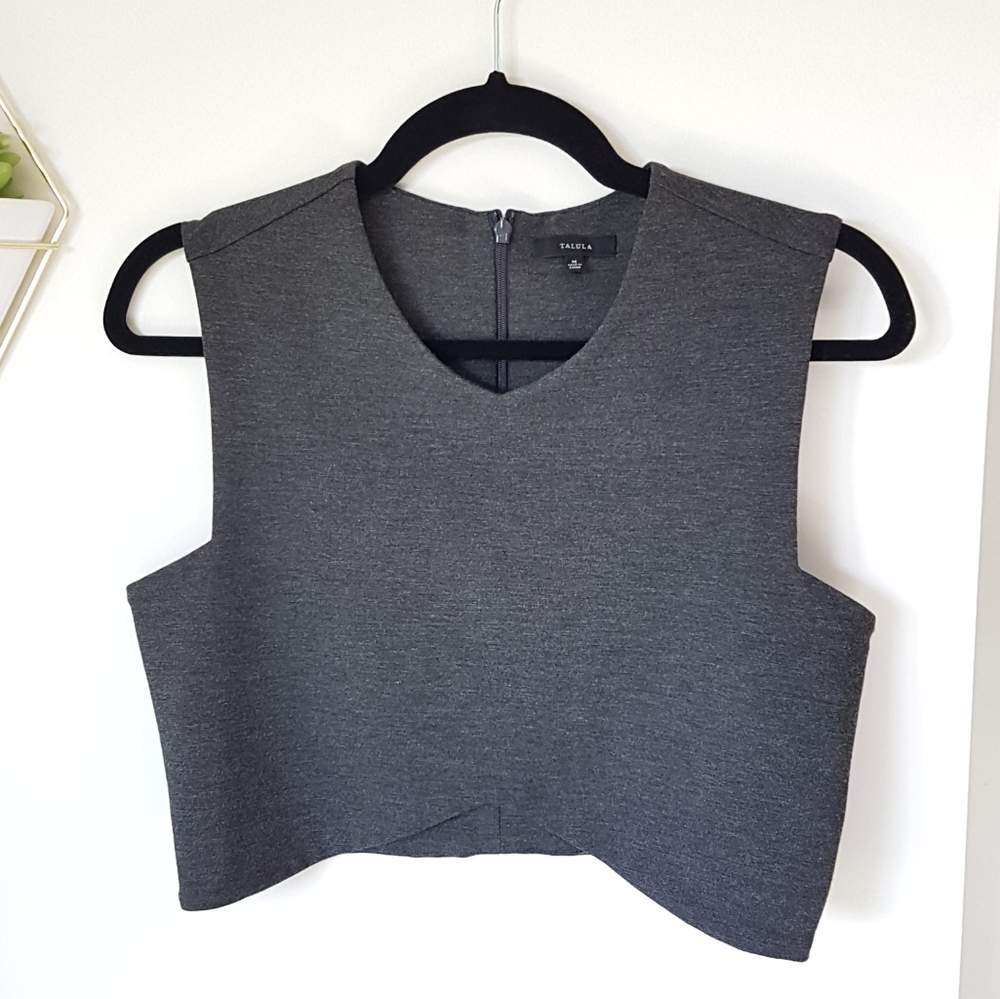 Aritzia TALULA Manzanita Crop Tank in dark grey M